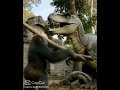 king kong