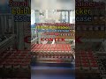 Small Volume Cooking Oil Case Packer - 250ml to 2L - on One Line!