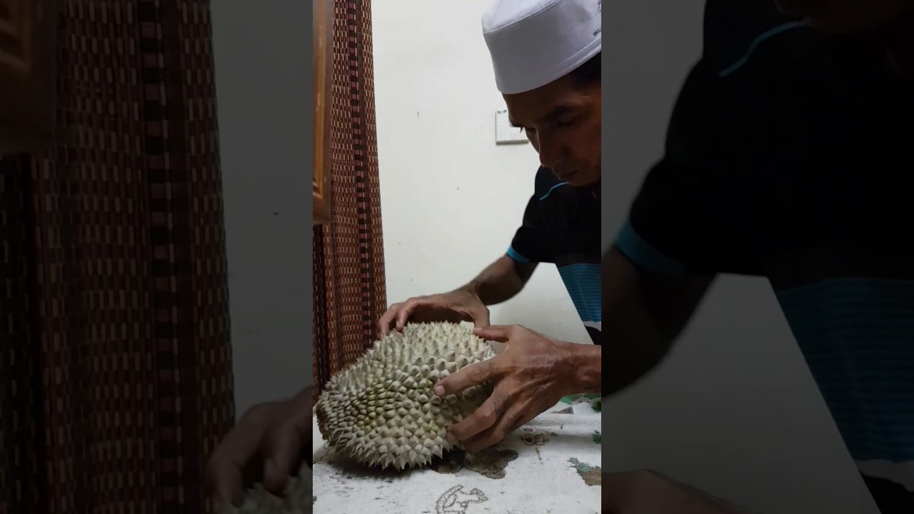 Pakteh MIMET  the DURIANHOLIC