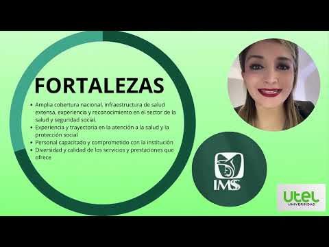Avance del proyecto