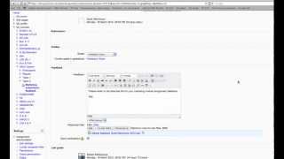 Example of using Audio feedback (through VLE).m4v
