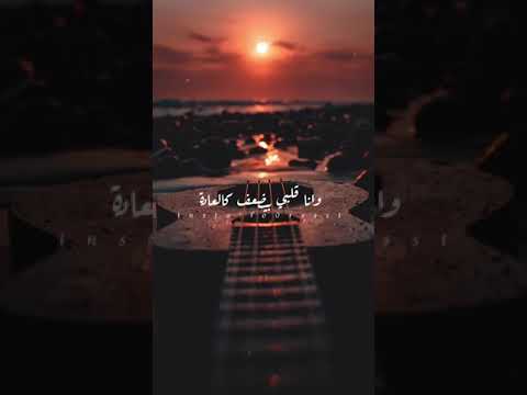 نسيانك دا عايزلو اراده