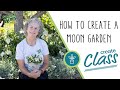 How To Create A Moon Garden