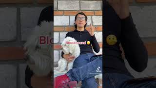 El Terrier Más Duro Del Planeta