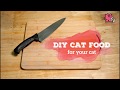 DIY Cat Food