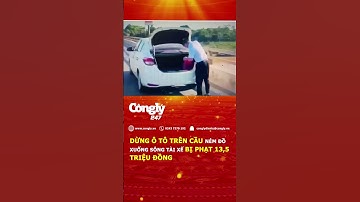 Dừng ô tô trên cầu, ném đồ xuống sông: Tài xế bị phạt 13,5 triệu đồng | Báo Công lý