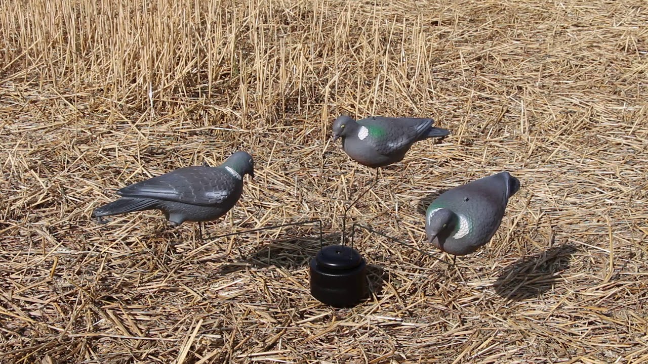 Mjoelner Hunting, Decoy carousel Tripple Motion - YouTube