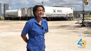 More from Senior Petroleum Engineer- Rosalyn Sealy