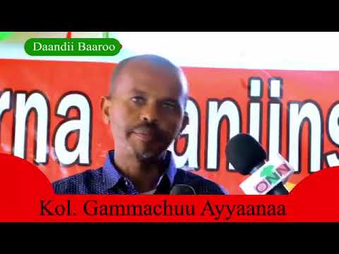 Qondaalaa ABO Jaal Gammachuu Ayyaanaa