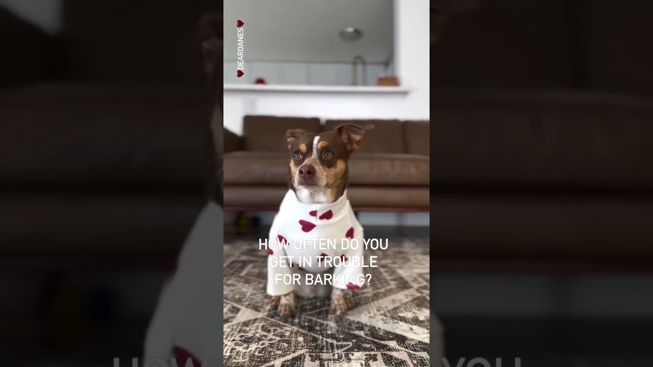 Every single day!! 🤭