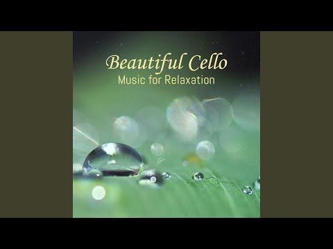Tonton Beautiful Cello di YouTube