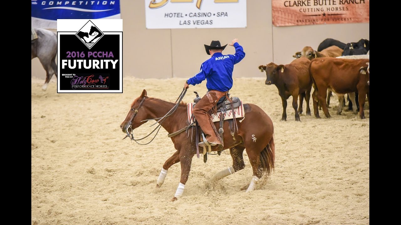2016 PCCHA Open Futurity Finals Highlights