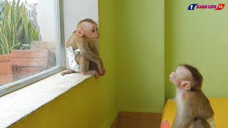 Two Sister Little Jiji And Tiny Lisa Talking So Funny