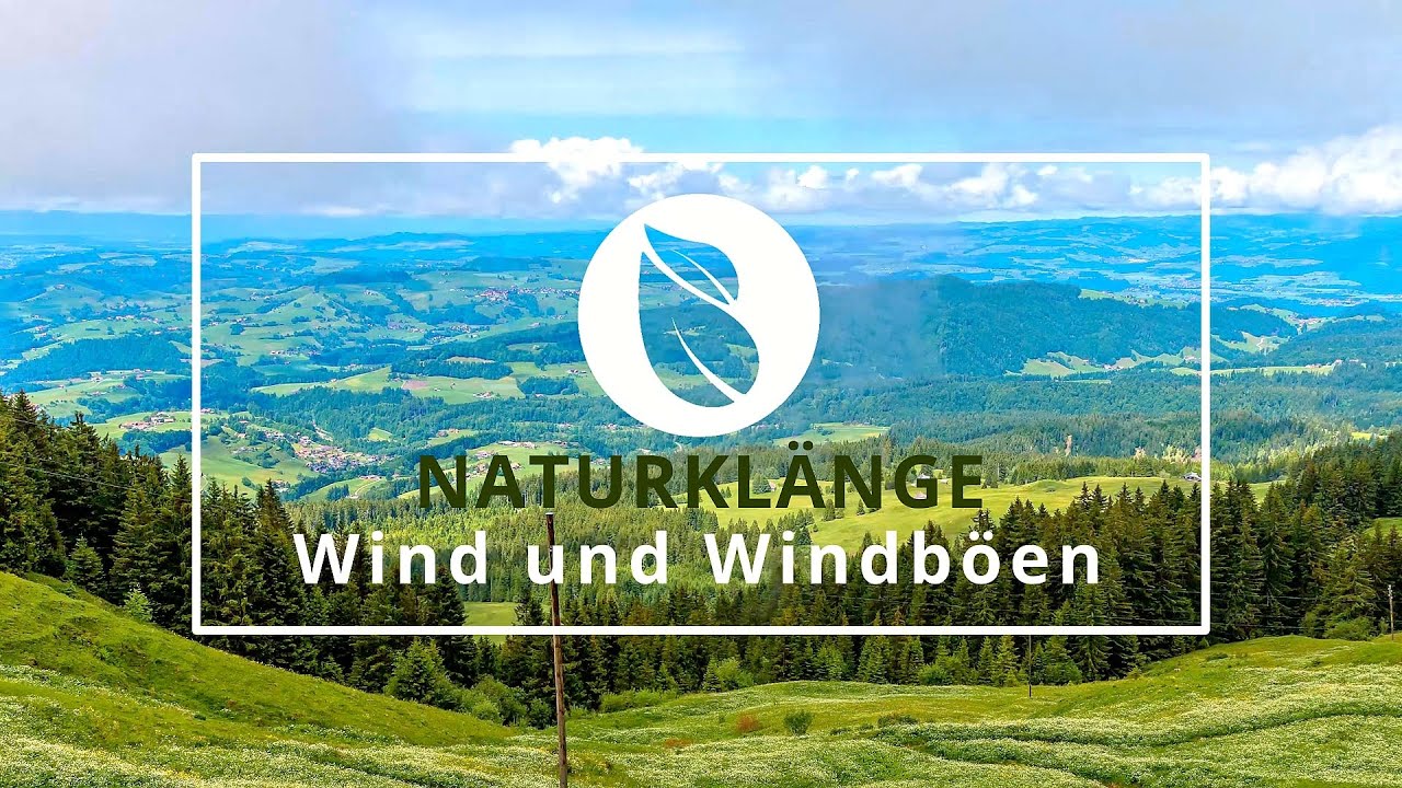 Warmer Wind In Den Voralpen www.youtube.com