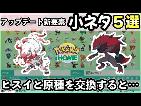 【ポケモンHOME】アップデートで追加された新要素！小ネタ５選