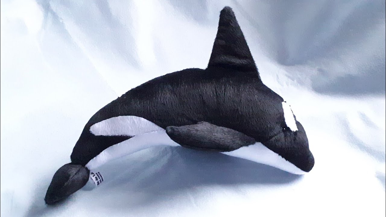 ORCA DE PELÚCIA  - PAP COM MOLDES