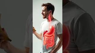 Man eating banana Watch Food Travel Through the Body | 3D Digestive System Animation