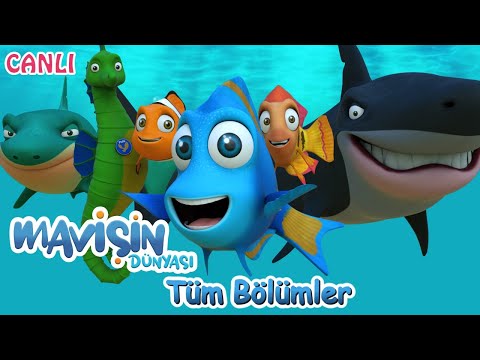 Mavişin Dünyası ❤️ Çocuklar İçin Türkçe Çizgi Film. ❤️ Tüm Bölümleri İzle ❤️ Canlı Yayın - Live