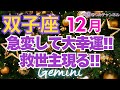 ♊双子座12月運勢🌈✨大修復と幸運、実る！大喜びの変化💐✨️