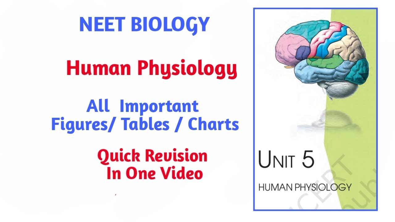 Human Physiology Quick Revision All Figures/ Tables/ Charts Neet ...