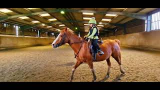 INDOOR HORSE RIDING LESSONS AND A LITTLE CANTER  2024 EQUESTRIAN