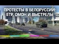 Протесты в Белоруссии: БТР у дворца Лукашенко, слезоточивый газ, выстрел в воздух