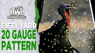 Best 20 Gauge Turkey Pattern at 50 Yards — Federal TSS vs. Heavy Shot with a Jebs Choke