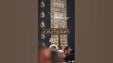 سورة هود الايه 33-36