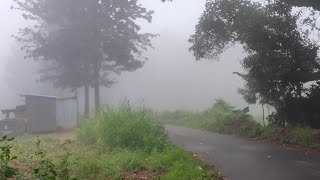 bike travel kollimalai #mist #kollimalai #falls #water_falls ##kollihills