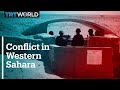 Tensions flare up in Western Sahara as truce ‘fails’