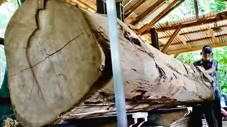 Sawing Large Ancient Teak Wood into Premium Quality Planks and Beams