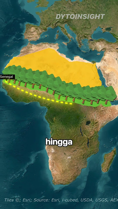 Africa's solution to the Sahara Desert 🧐 #shorts #short #dytoinsight