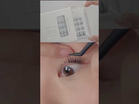 Sandy In The Box Sandy On Sandy Pearhaus Smallbiz Diylashes 