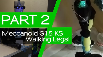 [NEW BODY] Meccanoid G15KS Robot: Chip