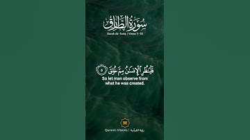 سورة الطارق SURAH TAREQ #عبدالولي_الاركاني #abdulwali_alarkani