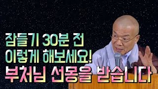 잠들기 30분 전 이렇게 해보세요! 부처님 선몽을 받습니다.