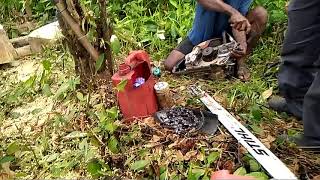 Reska hanya anak tukang senso