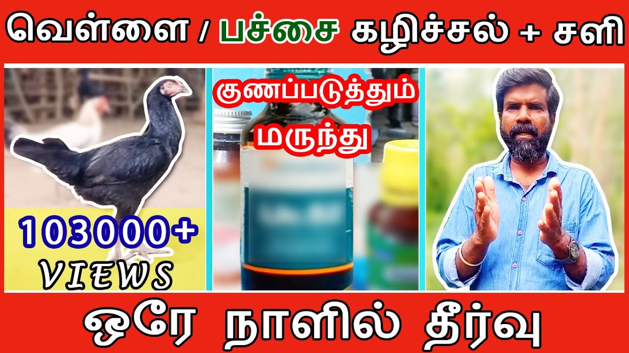 வெள்ளை / பச்சை கழிச்சலுடன் சளியும் சேர்ந்து வருகிறதா | ஒரே நாளில் தீர்வு | TAMIL | GUNA KOZHI PANNAI