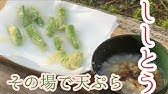 のびるの天ぷら Youtube のびるの天ぷら Youtube