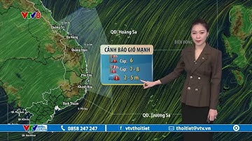 Dự báo thời tiết biển ngày 19/03/2025 | Cảnh báo gió mạnh, sóng lớn | VTVWDB