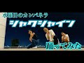 【女子ダンサーが本気で踊ってみた】シャクシャイン/水曜日のカンパネラ