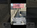 草は際（きわ）の部分に数本生えている程度でした とってもキレイ！