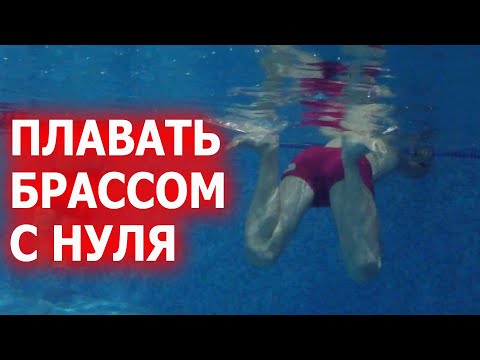 Как научиться плавать брассом с нуля взрослым Плавание брасс