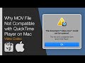 Why MOV File Not Compatible with QuickTime Player on Mac (Video Codec: Animation &amp; Apple ProRes)