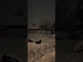 Kid jumped off a snow pile #snowjump