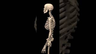 Inson, Odam, Mana Tanasi Odamni,1