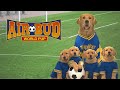 Air bud world pup  official movie