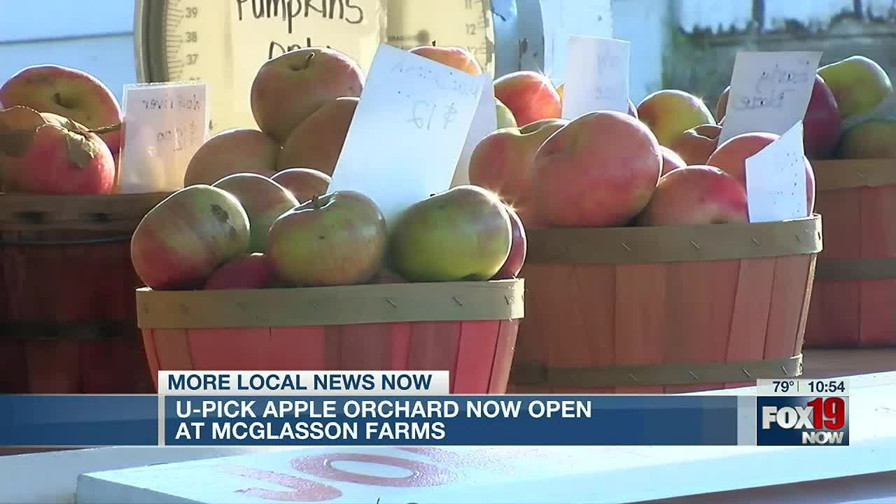 U-Pick Apple Orchard now open at McGlasson Farms