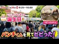 【2026年7月26日】ベビーパンチくん1歳のお誕生日！朝9:25〜10:00に大勢のファンが集結！パンチくんもびっくり！？【市川市動植物園】