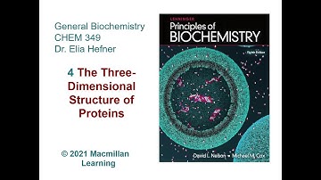 Chapter 4 - The Three Dimensional Structure of Proteins